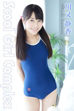 野鸭子电视剧